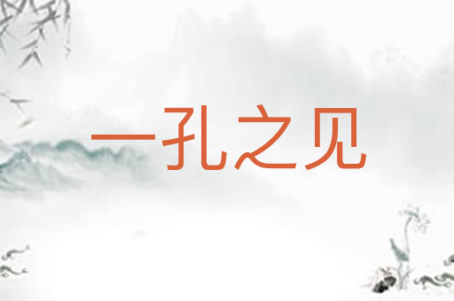 一孔之见