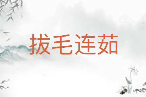 拔毛连茹