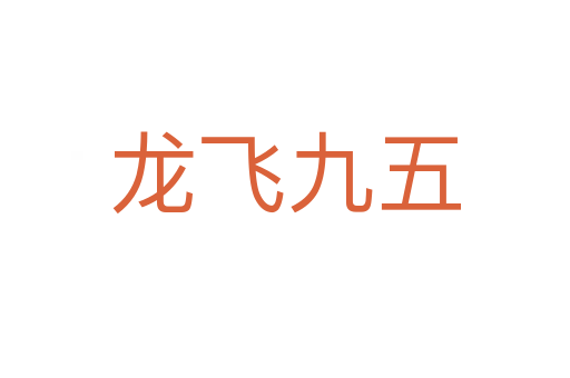 龙飞九五