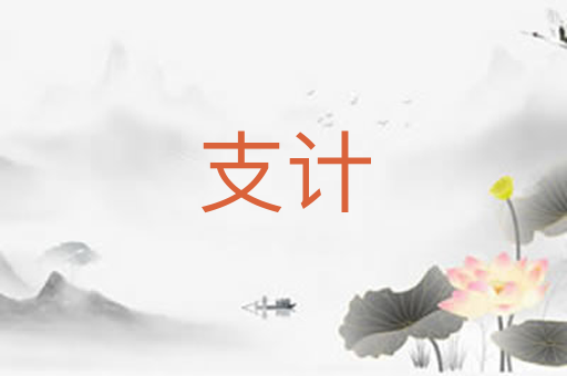 支计