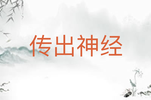 传出神经