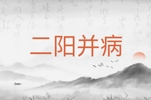 二阳并病