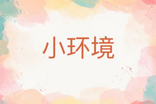 小环境