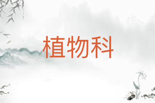植物科