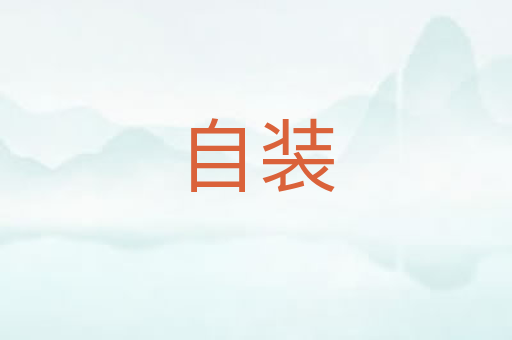 自装
