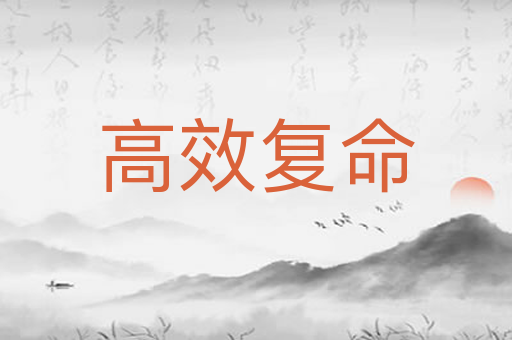 高效复命