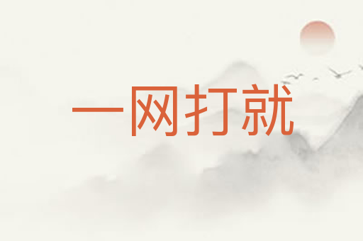 一网打就